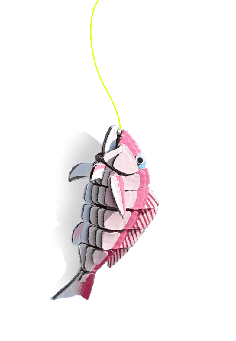 魚